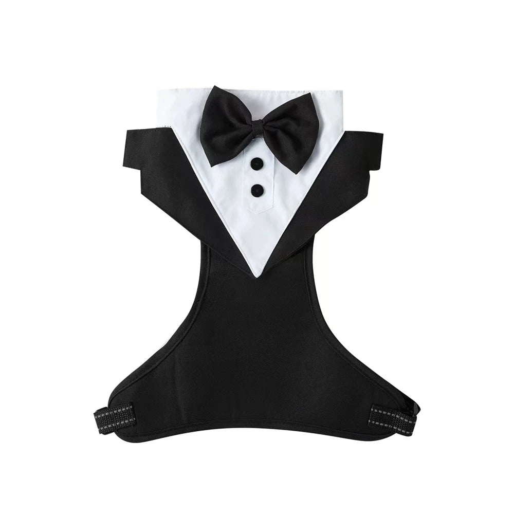 luxury evening suit
