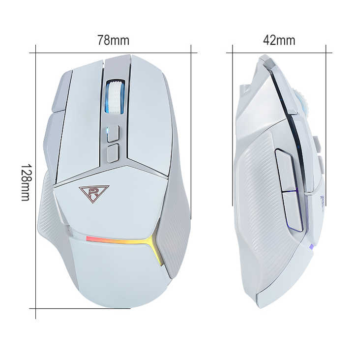 New high-end mouse