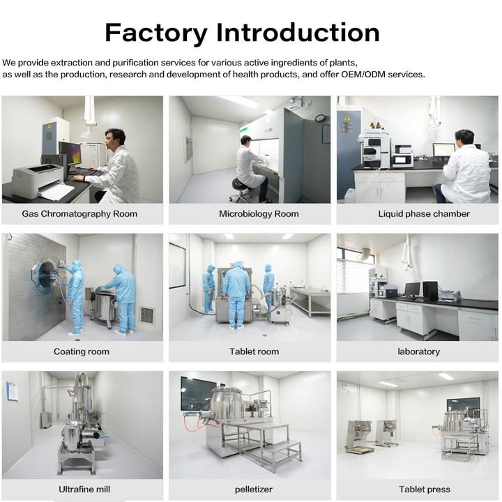 أقراص عشبية للجينسنغ ماكا تعزيز الذكور الطبيعية لصلابة الانتصاب طويلة الأمد تحسين القدرة على التحمل صحة الحيوانات المنويةGinseng Maca Herbal Tablets Natural Male Enhancement for Long-Lasting Hard Erections Improved Stamina Sperm Health