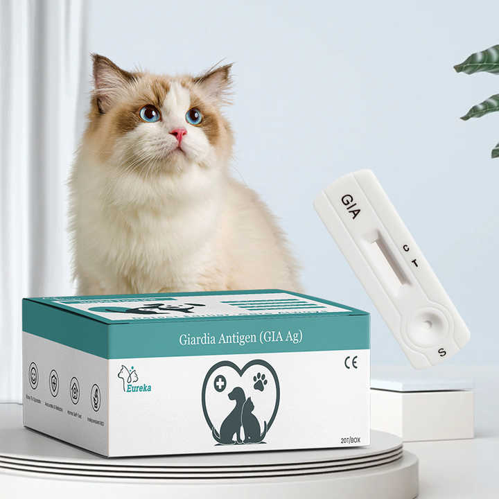 Pet Parvovirus Rapid Test Kit Medical Supplies