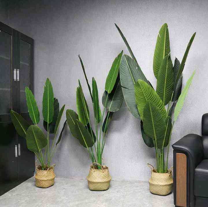 نبات اصطناعي نابض بالحياة شجرة اصطناعية - Lifelike Artificial Plant Polyethylene