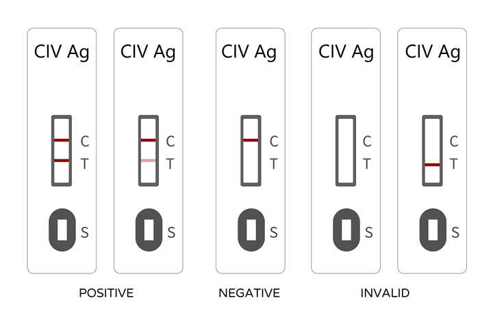 كلب حيوان أليف ناب بارفو فيروس (CIV) مضاد صوفي * * Pet Canine Parvovirus (CIV) Antibody*