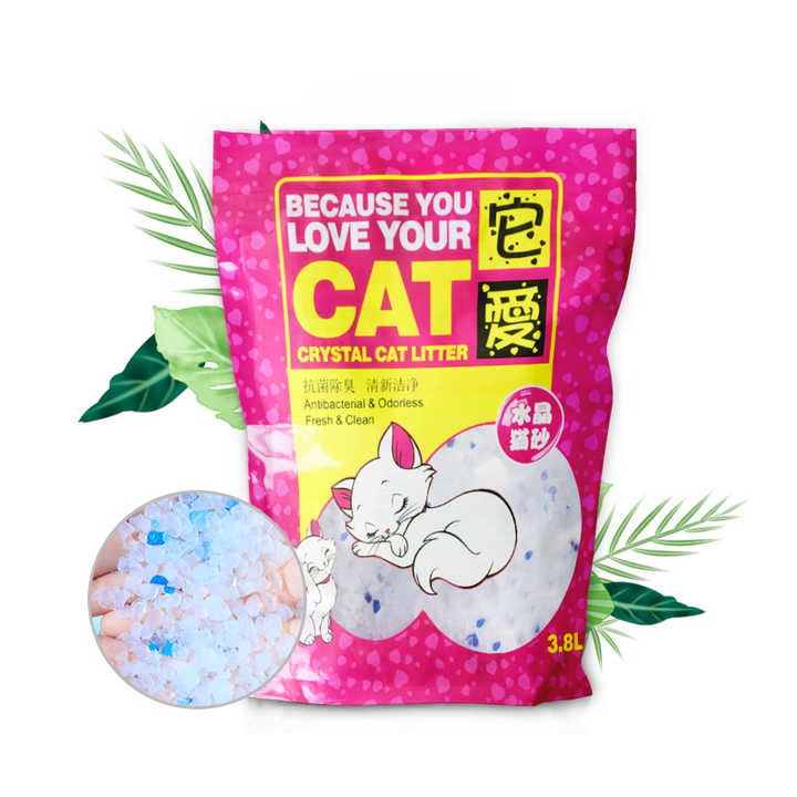 Sincere Large Discounts Cat