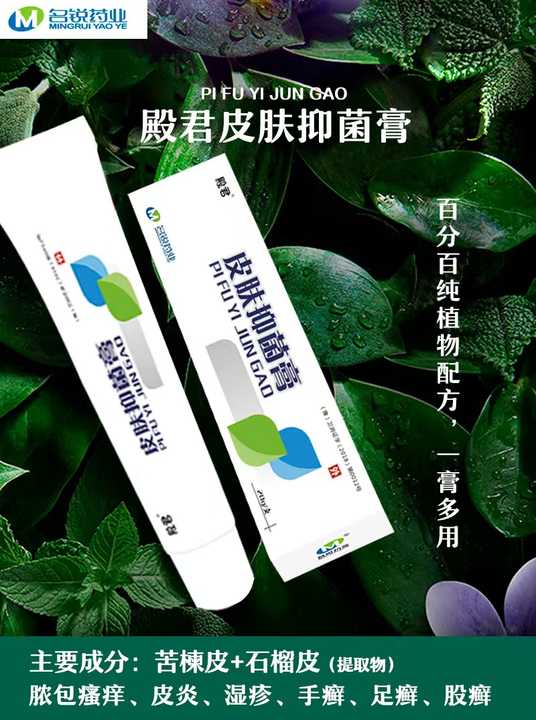 Professional Herbal Skin Bacteriostatic Ointment