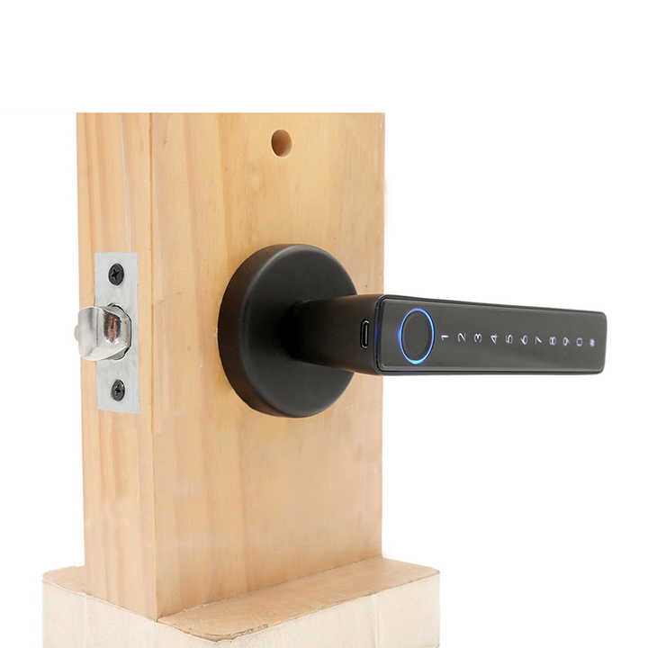 Digital electronic fingerprint arm
