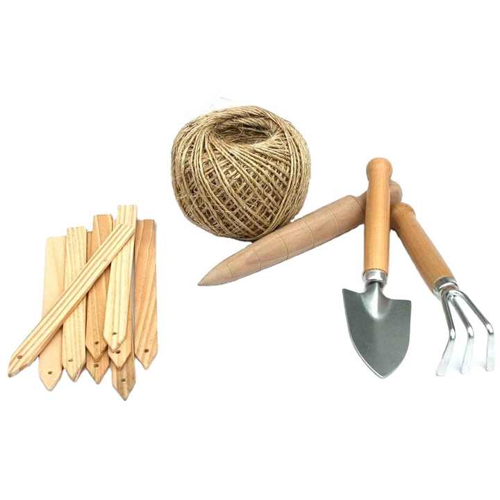 مجموعة أدوات حديقة صغيرة مكونة من 3 قطع للاستخدام المنزلي مجموعة زراعة عصارية مع ، ومعول بأسماك عصارية بوعاء والتربة الفضفاضة3 Piece Mini Garden Tool Set for Home Use Succulent Planting Kit with, Succulent Fish Potted Shovel and Loose Soil