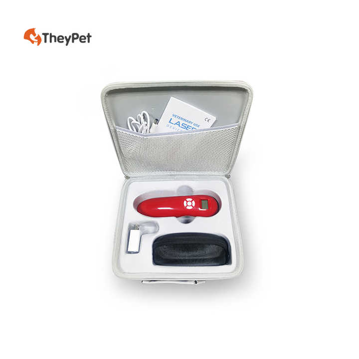 Veterinary cold laser therapy equipment