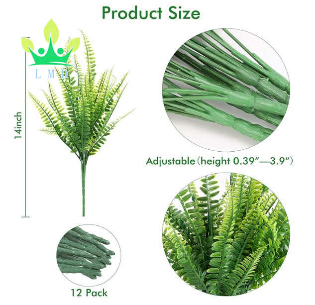 حزمة من نباتات السرخس-a bunch of ferns