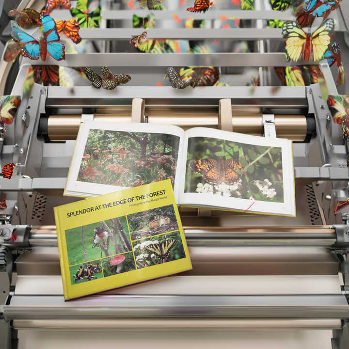 Large size cover novels