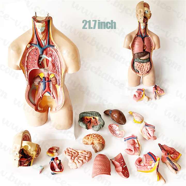 Medical supplies