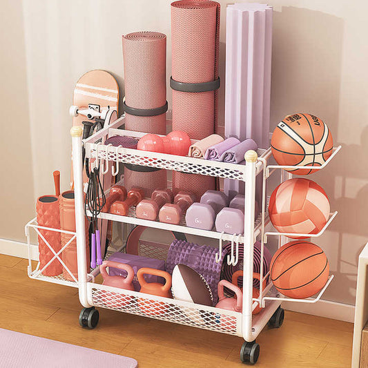 Basketball Dumbbell Sports Storage Rack