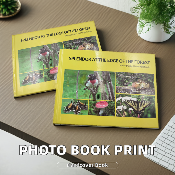 ألبوم صور فني