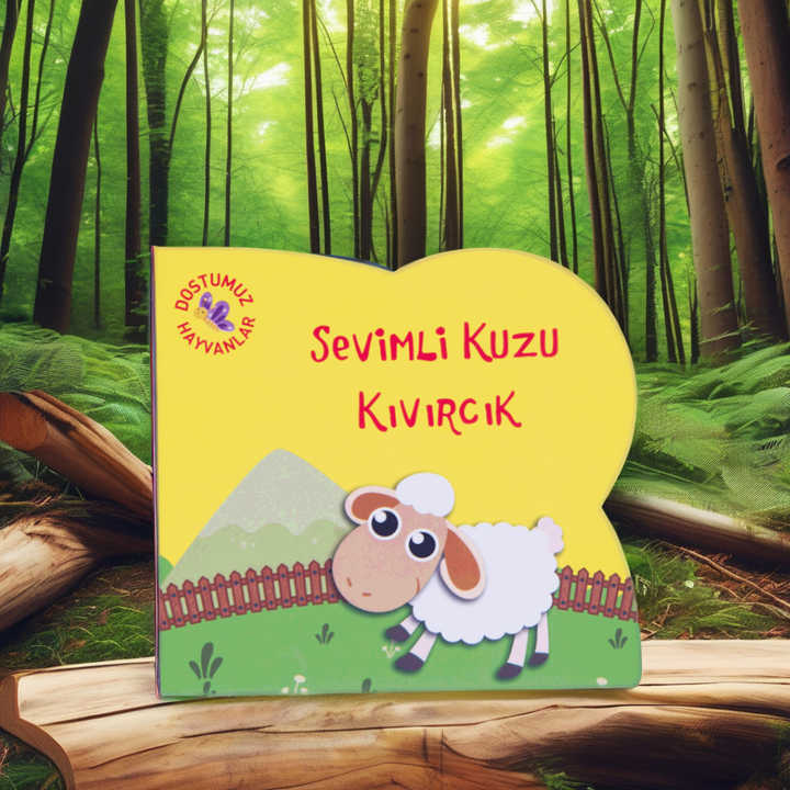 كتب لوح بغلاف مقوى