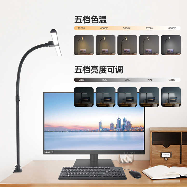 Modern LED Table Lamp