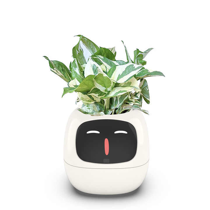 smart flower pot