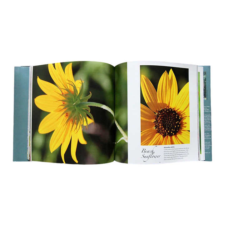 Custom Colorful Book Printing Hardcover Wholesale Paperback English Comic Novel Book Printing Custom Colorful Book Printing Hardcover Wholesale Paperback English Comic Novel Book Printing