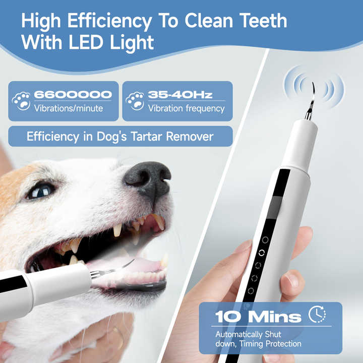 Animal teeth whitening products
