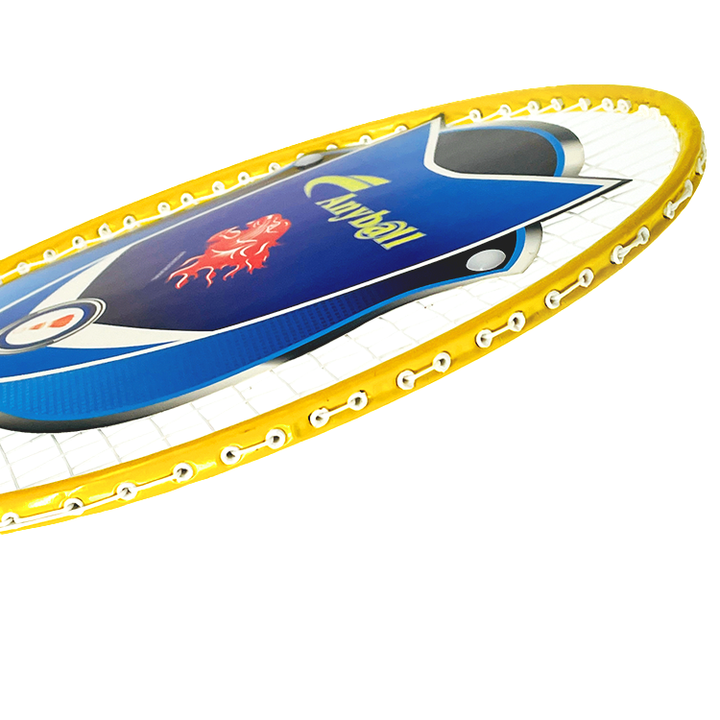 التمارين الهوائيه