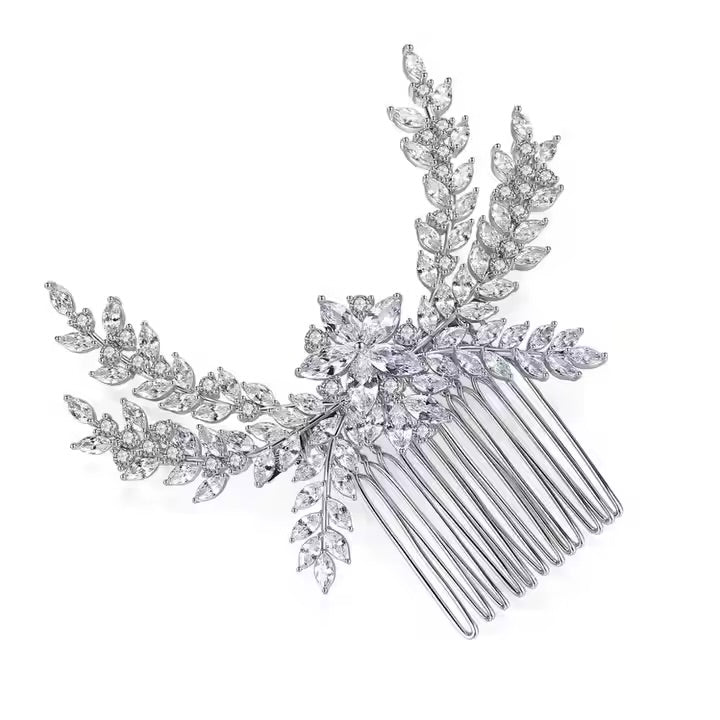 اكسسوار مشابك شعر