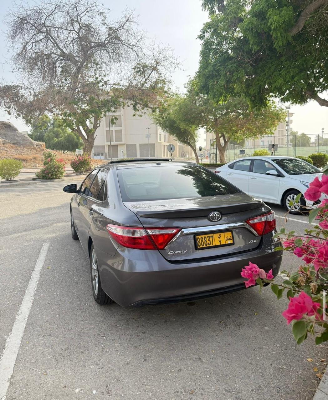 XLE المعتمد لسيارات\ كامري