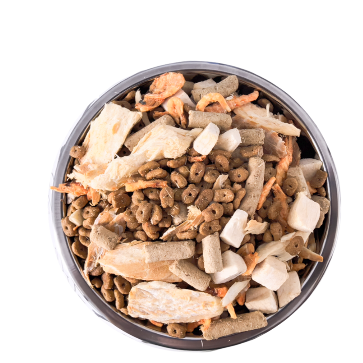 dog food 