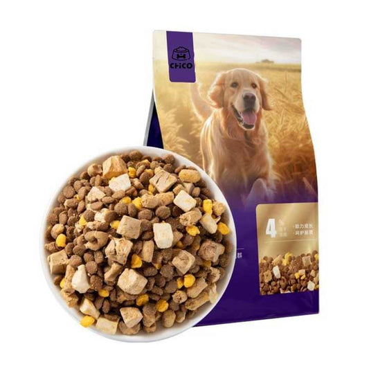Bowls and feeders. Dog food. 