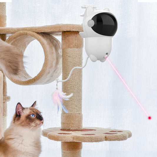 New Cat Toys - Pet Accessories 