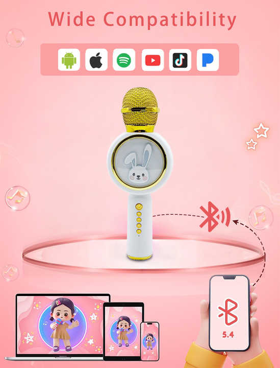 Entertainment games microphone 