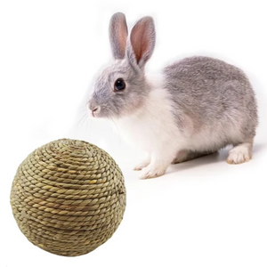 Natural Grass Balls for Small Animals - Animal Accessories 