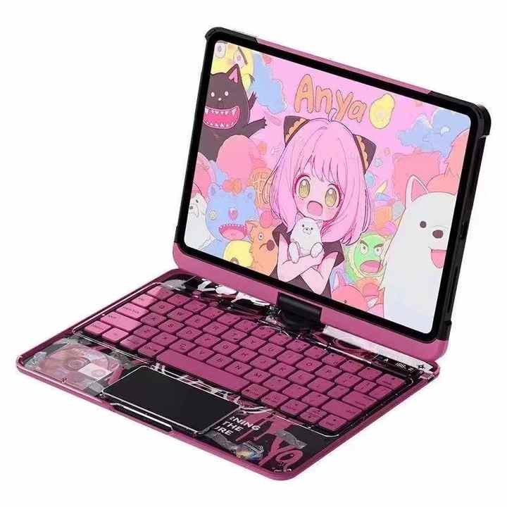 Transparent case for the device 