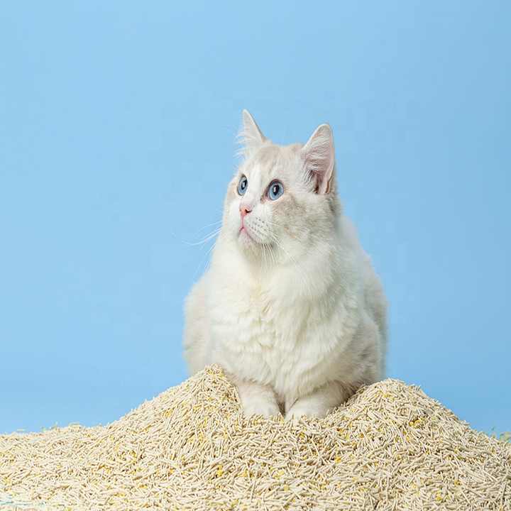 فضلات قطط سريعة الامتصاص - ادوات تنظيف