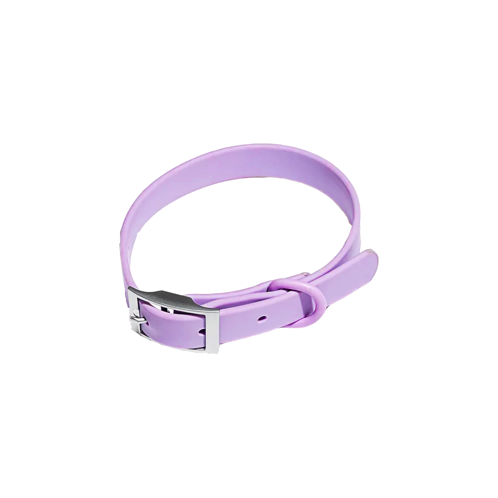 Pet Accessories - Pet Walking 