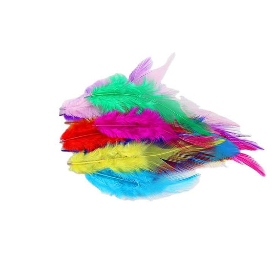 Feather Turkey Hair Earrings 