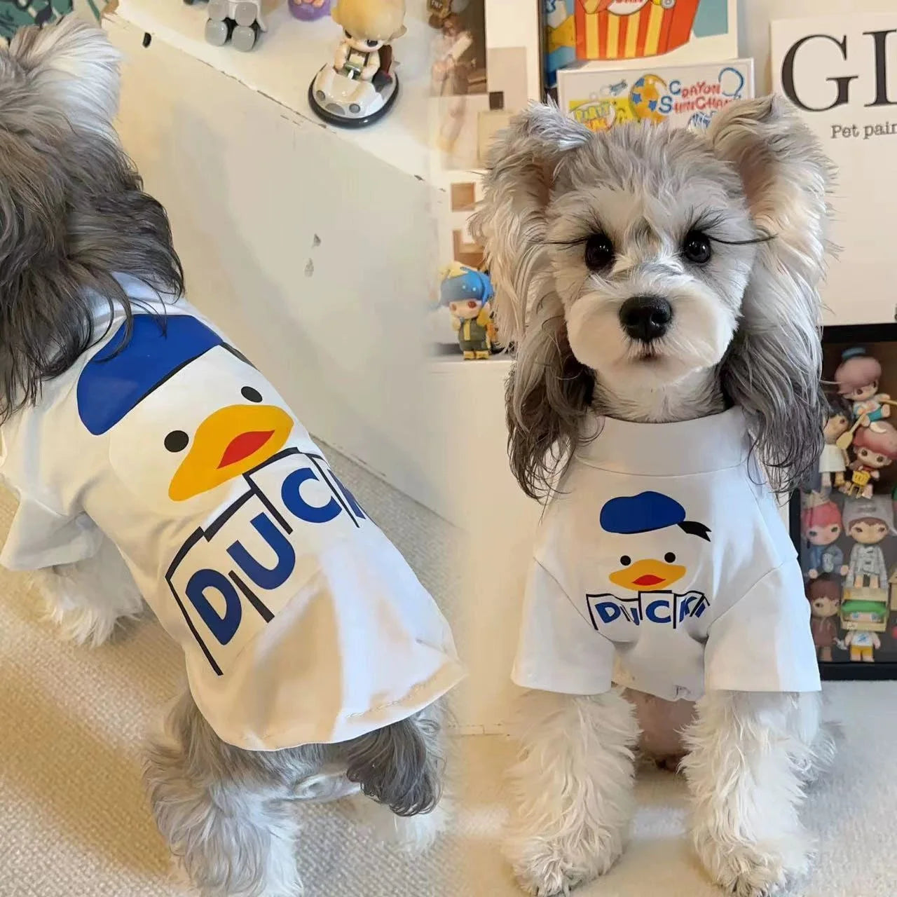 Summer dog clothes-clothes 