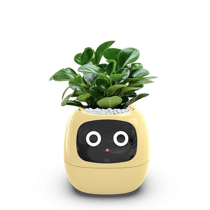 smart flower pot 