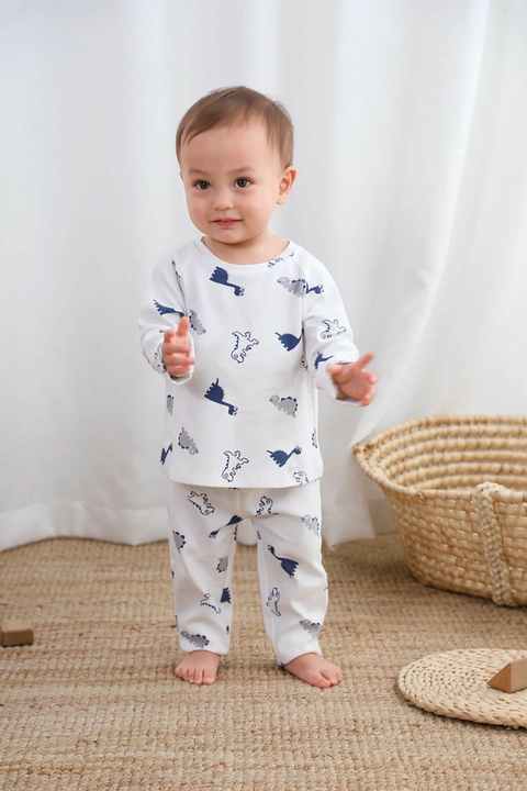 Newborn baby long sleeve clothing set 