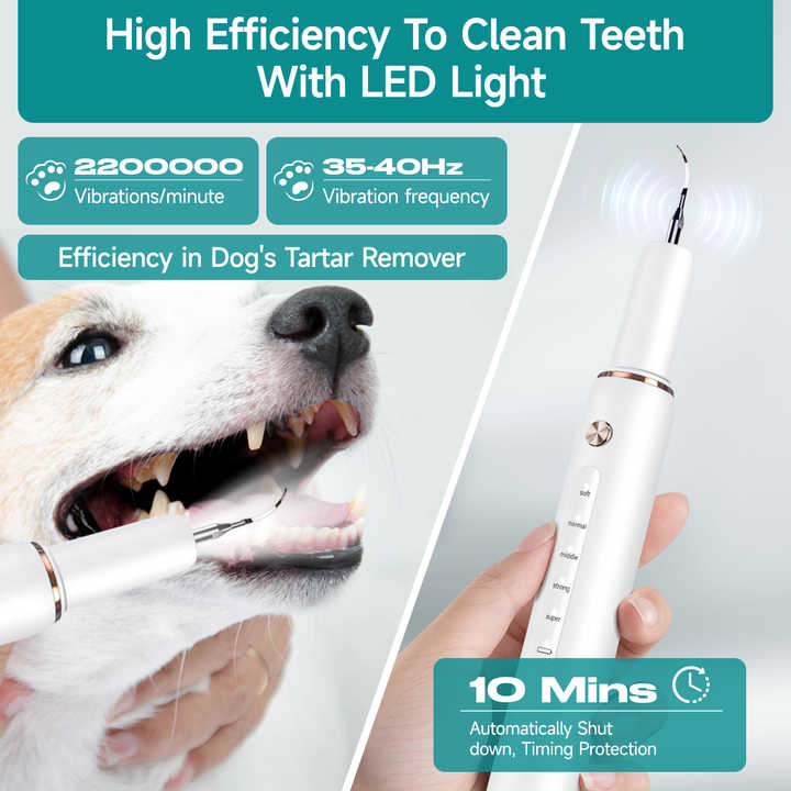 Smart Device for Cleaning Animal Teeth - Animal Medical Supplies 