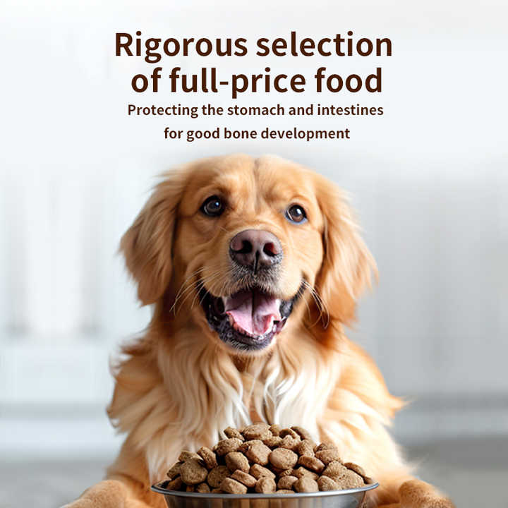 أرنب للحيوانات الأليفة OEM g OEM بسعر الجملة من المصنع المصنع من الدجاج عالي الجودة للطيور جيدًا OEM pet food sample g OEM wholesale from factory high protein food premium natural dry dog food