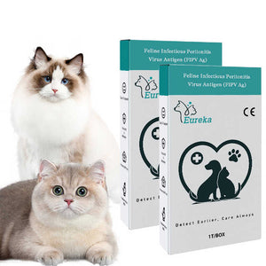 Animal Accessories - Cat Factory Cats 
