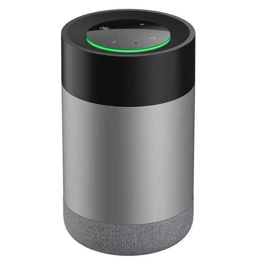 smart speaker 