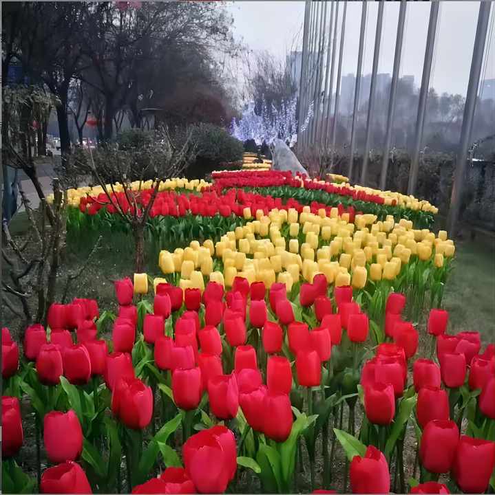 outdoor flower lights 