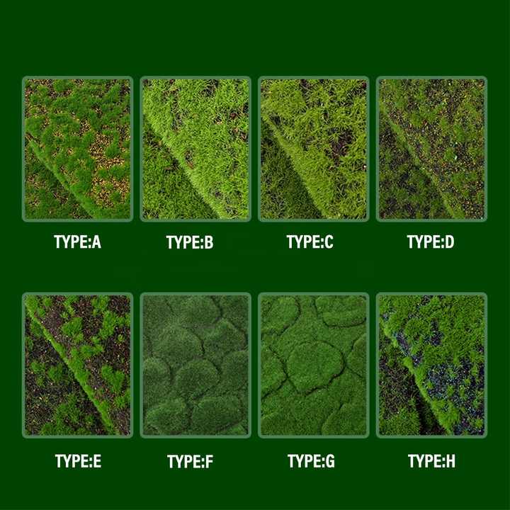 plant wall meter 