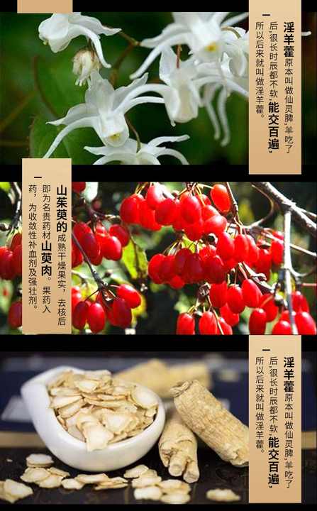 كبسولات دوجوود للرجا-Dogwood capsules for men