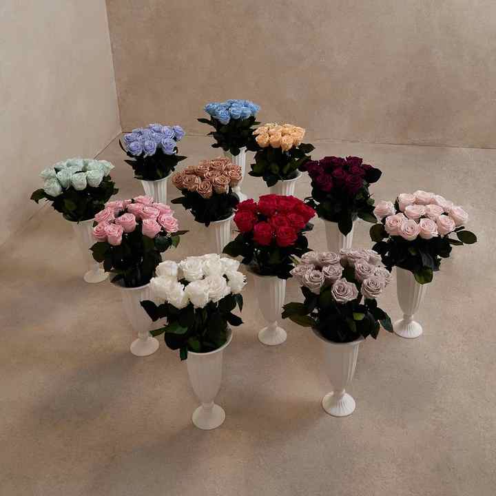 أكثر أنواع الزهور المنزلية - مزهريات   .