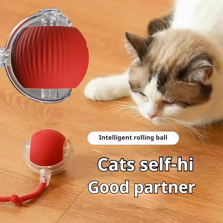 Animal Accessories - Interactive Toy Ball 