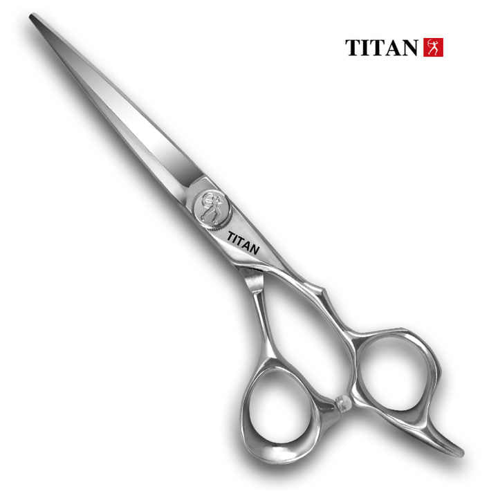 Barber Hair Scissors Cutting Japanese-Haircutting Scissors, 