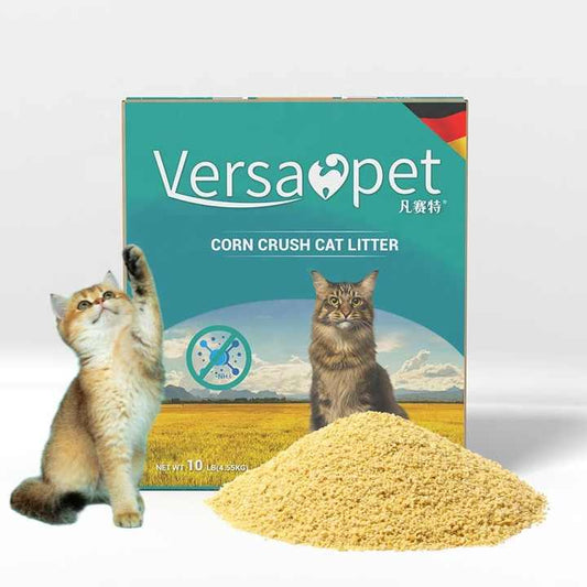 Fast Absorbing Cat Litter - Cleaning Tools 