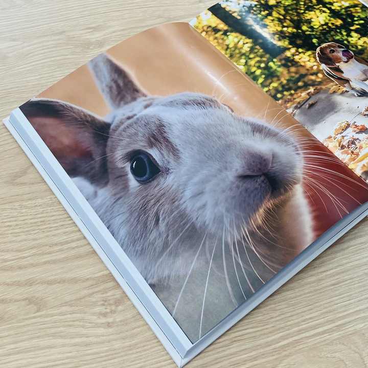 كتاب بغلاف مقوى مخصص كتاب قصص الديكورات الجديد Custom Hardcover Book: The New Decor Story Book