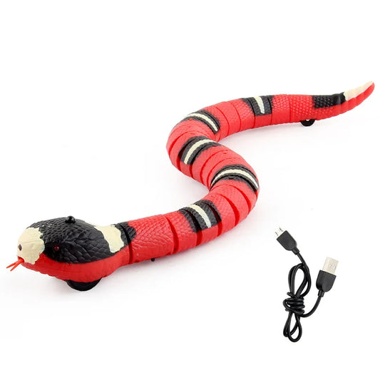 Animal Accessories - Smart Cat Toys 