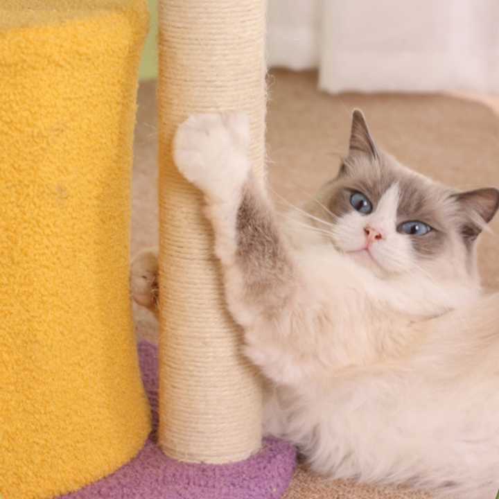 Cat Climbing Frame Sisal Cat Tree Luxury Cat Scratching Post 